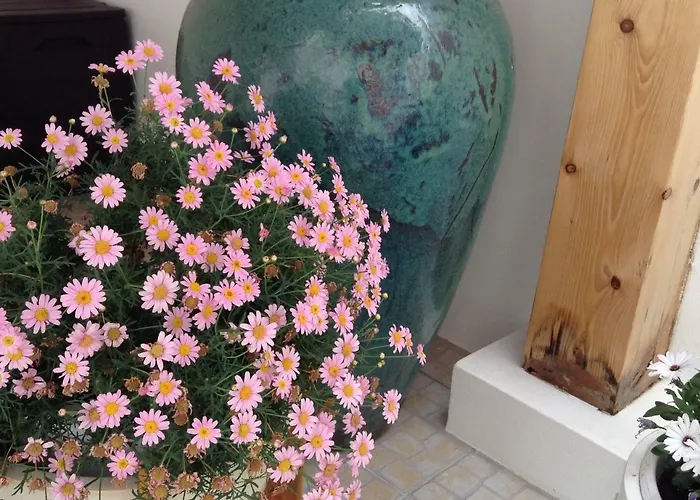 Гостевой дом White